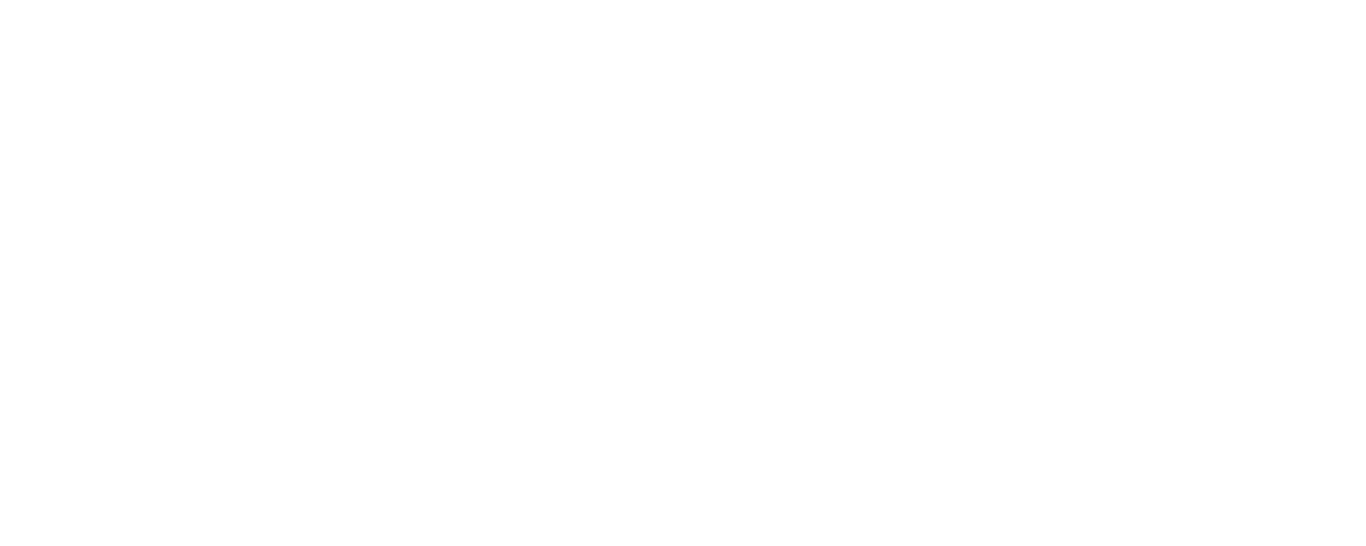Communauté Professionnel Territoriale de Santé – CPTS Gâtinais Montargois Communauté Professionnel Territoriale de Santé - CPTS Gâtinais Montargois